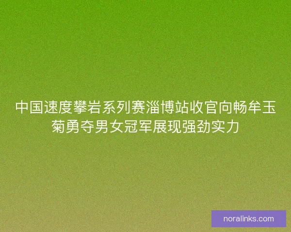 中国速度攀岩系列赛淄博站收官向畅牟玉菊勇夺男女冠军展现强劲实力